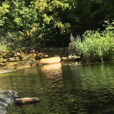 Desir'Oom Panzió Cabannes Kültér fotó